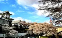 Vẻ đẹp của thành phố cổ Kanazawa, Nhật Bản