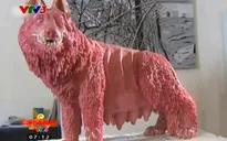 Sáng tạo nghệ thuật từ... kẹo cao su