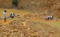 Quảng Nam: Truy quét “vàng tặc” tại mỏ vàng Bồng Miêu