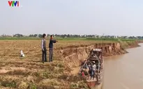 Hải Dương: Sạt lở do khai thác cát trái phép đe dọa người dân