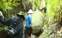Đằng sau giấc mơ đổi đời của các phu vàng
