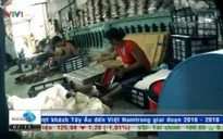 Thâm nhập cơ sở sản xuất khăn giấy ướt giá rẻ (21h50, VTV1)