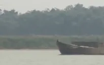 Quảng Nam ngăn chặn triệt để nạn khai thác cát trái phép