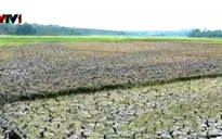 Khô hạn, thiếu nước sẽ xảy ra trên diện rộng
