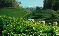 Đầu tư khoa học công nghệ "đánh thức" tiềm năng miền núi phía Bắc