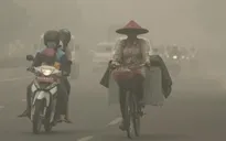 Indonesia cân nhắc ban bố tình trạng khẩn cấp vì cháy rừng