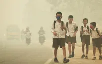 Ít nhất 19 người thiệt mạng do khói mù tại Indonesia