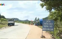 Cán bộ Trạm Thú y Vân Canh, Bình Định thu phí tiêu độc khử trùng sai quy định