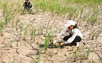 Việt Nam triển khai nhiều giải pháp ứng phó với biến đổi khí hậu