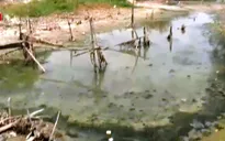 Kiên Giang thiếu nước sinh hoạt nghiêm trọng