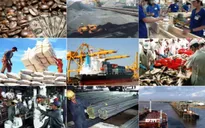 Xuất khẩu cà phê, gạo, phương tiện vận tải và phụ tùng sụt giảm
