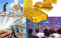 Kinh tế hồi phục, nhiều doanh nghiệp Việt lạc quan