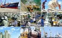 Những quan điểm mới về kinh tế thị trường