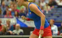 Loại Pháp, CH Czech vào chung kết Fed Cup 2015