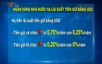 NHNN hạ lãi suất tiền gửi bằng USD: Không lo dòng tiền ngoại tệ ra khỏi Việt Nam