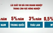 Chăn nuôi Việt Nam khó cạnh tranh vì lãi suất cao