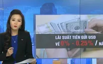 Hạ lãi suất tiền gửi bằng USD: Nhiều ý kiến trái chiều