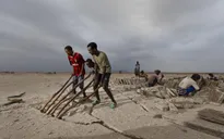 Guinea: Kĩ thuật giúp cải tiến nghề làm muối