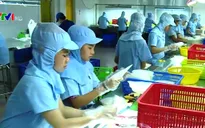 TP.HCM: Làng nghề thủ công chuyển mình sang hiện đại