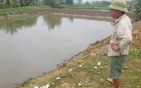 "Làng ung thư" Cờ Đỏ: Ước mơ nước sạch vẫn xa vời