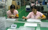 Nhiều công ty xuất khẩu lao động đi Đài Loan thu phí sai quy định