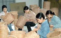 Đề xuất ưu đãi vay vốn với DN sử dụng nhiều lao động nữ