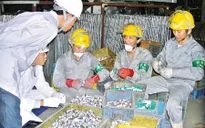 Khuyến cáo lao động Việt Nam tại nước ngoài đối phó với MERS