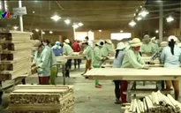 Chỉ 19,5% lao động Việt Nam được qua đào tạo