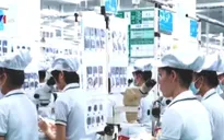 Hơn 5.600 lao động nước ngoài tại Việt Nam không được cấp phép