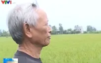 Lão nông kiếm hơn 12 tỷ đồng một năm từ tái chế lốp xe