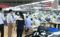 Phát hiện hơn 1.700 vi phạm lao động trong ngành dệt may