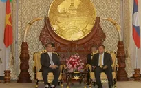 Thường trực Ban Bí thư Lê Hồng Anh hội kiến Phó Chủ tịch nước Lào