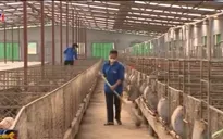Nắm bắt cung cầu - Lợi thế cạnh tranh của doanh nghiệp liên kết chuỗi