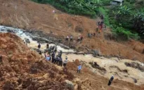 Indonesia: Sạt lở đất, ít nhất 12 người thiệt mạng