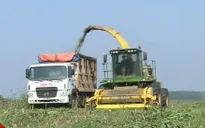 Bỏ các loại phí không cần thiết trong nông nghiệp
