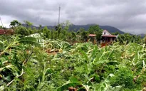 Quảng Bình: Lốc xoáy khiến 63 ngôi nhà bị tốc mái