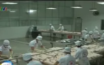 Xuất khẩu lợn sữa tăng mạnh