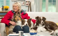 Quán quân Britain's Got Talent bị chỉ trích sau 1 ngày đăng quang