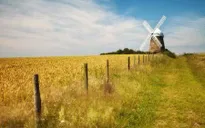 Việt Nam sẽ tạm ngừng nhập khẩu lúa mỳ từ Ukraine