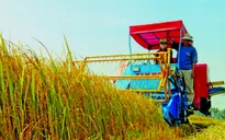 Quảng Ninh: Thu hút DN đầu tư vào nông nghiệp