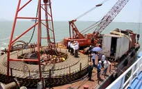 TP.HCM: Xã đảo Thạnh An chính thức có lưới điện quốc gia