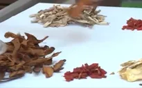 Nhiều thầy thuốc đông y gặp khó khi hành nghề