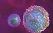 Triệu chứng nhận biết bệnh lupus ban đỏ