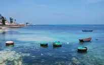 Đẩy mạnh phát triển du lịch trên đảo Lý Sơn