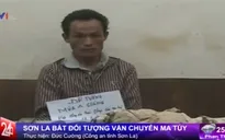 Sơn La: Bắt đối tượng vận chuyển ma túy với số lượng lớn