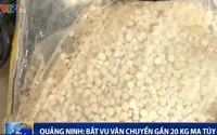 Phó Thủ tướng Nguyễn Xuân Phúc biểu dương Hải quan Quảng Ninh