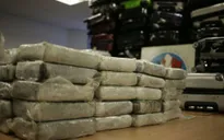 Bolivia: Thu giữ 654kg cocaine được vận chuyển đến Tây Ban Nha