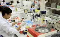 Việt Nam có hơn 10 triệu người mang gen bệnh tan máu bẩm sinh