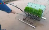 Chế tạo thành công máy cấy lúa không sử dụng động cơ