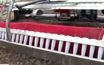 Gặp nhà sáng chế máy gieo hạt tự động